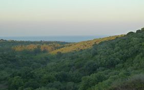 Alcaidesa golf&nature
